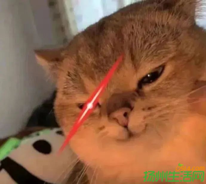 ΢ͼƬ_20240731134947.jpg