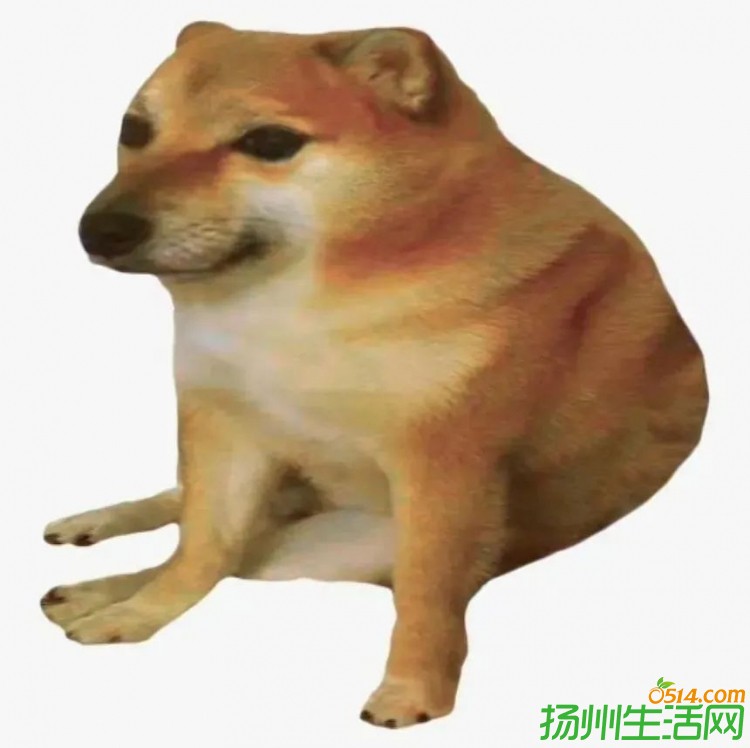 ΢ͼƬ_20240802140009.jpg
