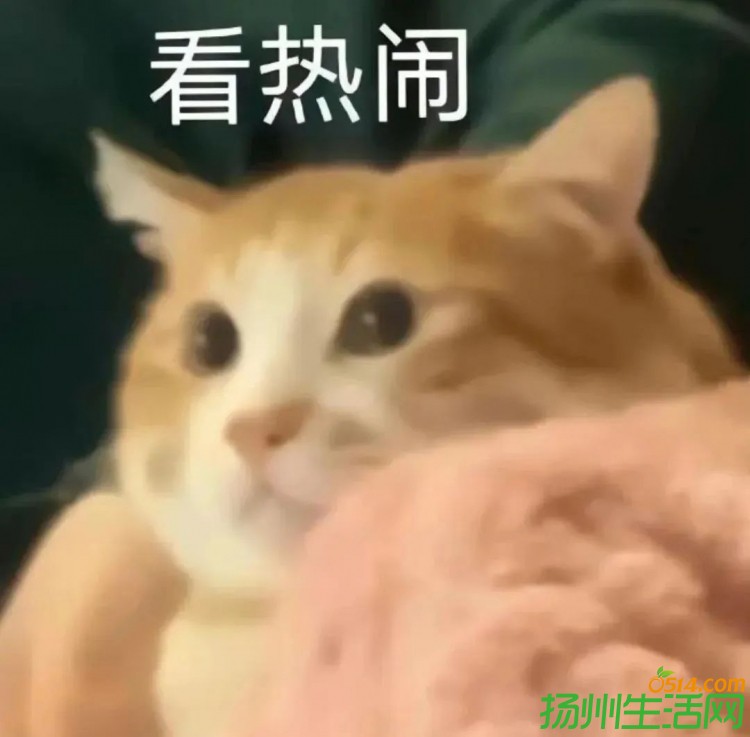 ΢ͼƬ_20240807142051.jpg