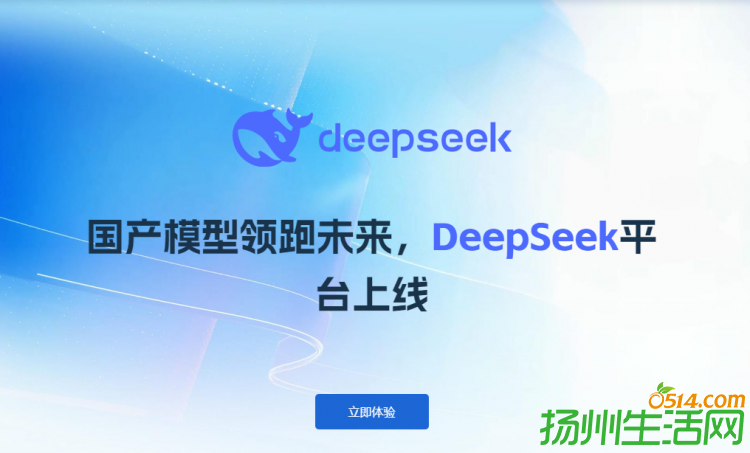 DeepSeekʽ½