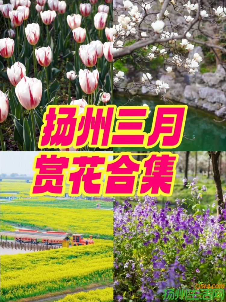 »ʢحȫͻغϼ_1__Сҳ.jpg