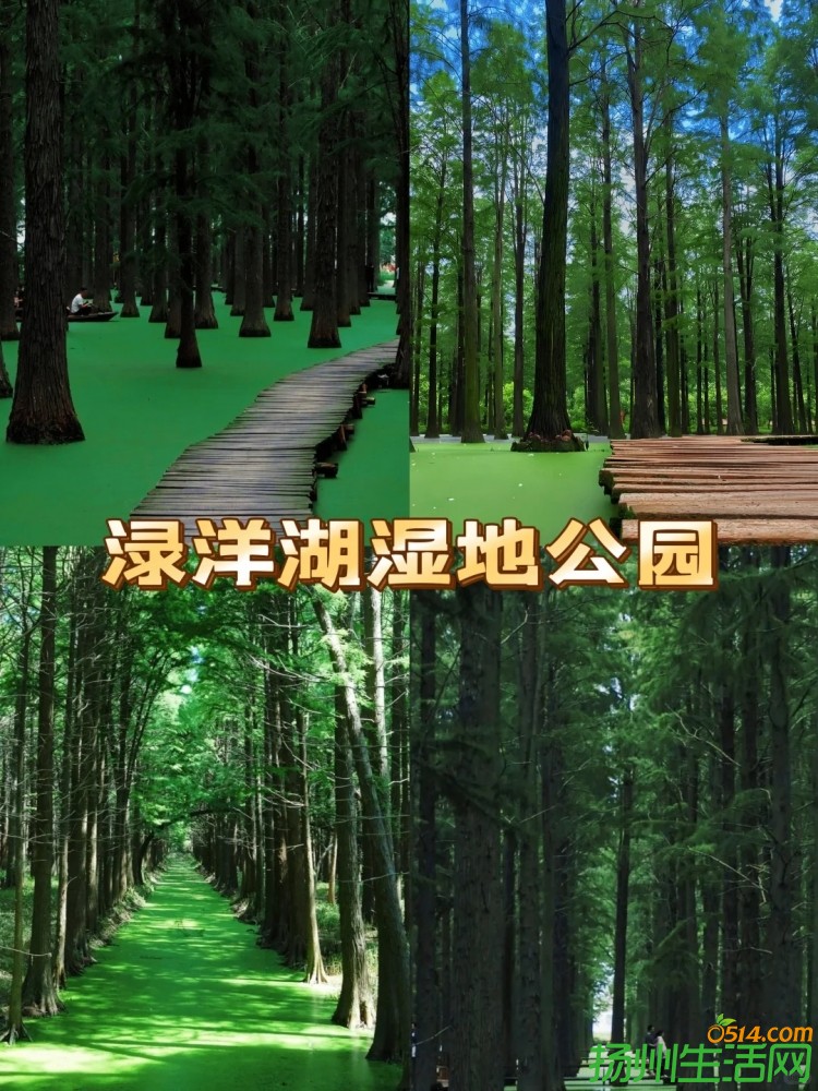 ԣ38Ҳˬǣ_2__Сҳ.jpg