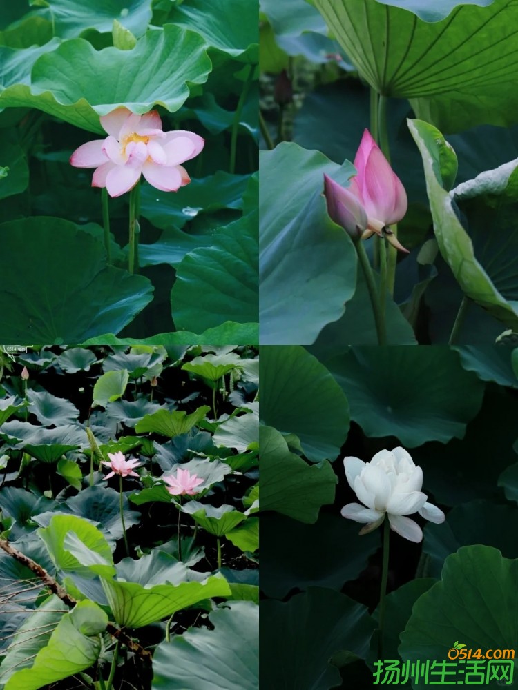 飺6-9ݱس15ͺʥأ_8__Сҳ.jpg