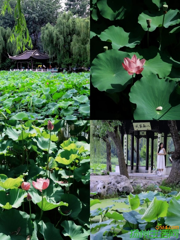 飺6-9ݱس15ͺʥأ_5__Сҳ.jpg