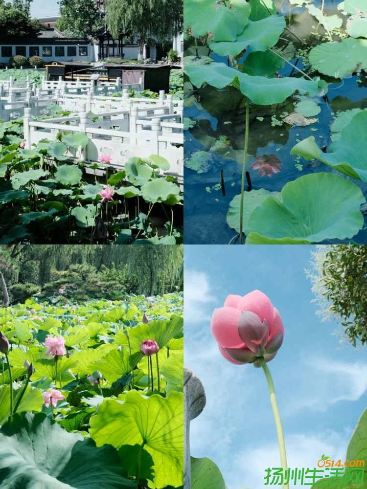 飺6-9ݱس15ͺʥأ_2__Сҳ.jpg